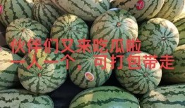 最新大瓜爆料,揭秘明星背后的惊人真相！